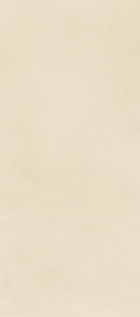 BNL1279886Y MICROCEMENT APRICOTS