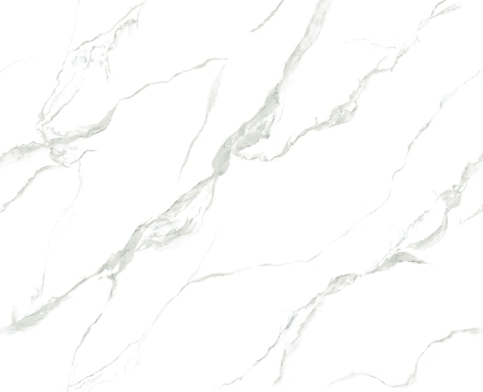 BNL82616 ROYAL FISH BELLY WHITE