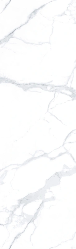 BNL826356L 高级鱼肚白