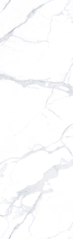 BNL826356Y PREMIUM FISH BELLY WHITE