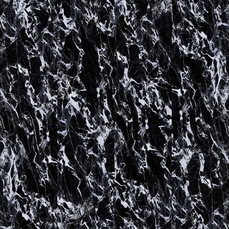 BNL9189199Y拿破仑黑 (1)