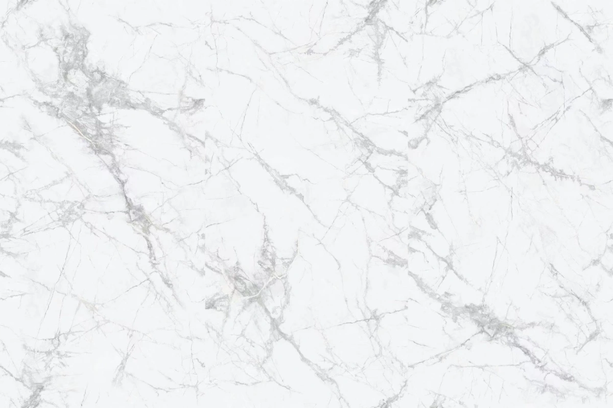 bnl9189399y 新寒江雪 (5)