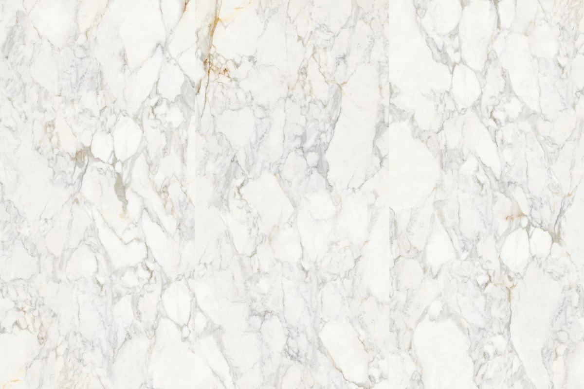 BNL9189469Y网纹鱼肚金 (1)