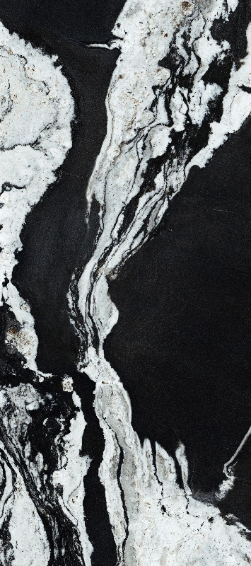 BNL9189581L VERSACE BLACK