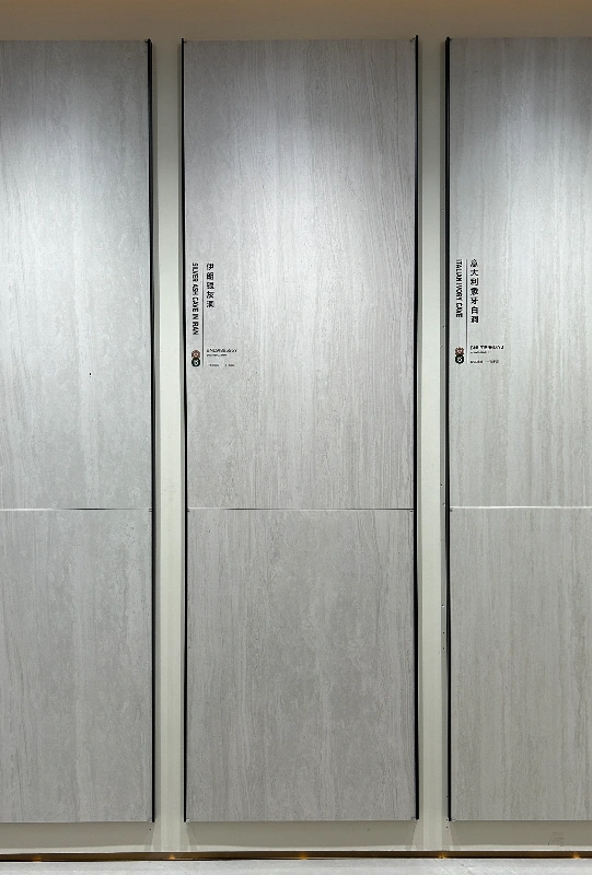 BNL9189595Y伊朗银灰洞