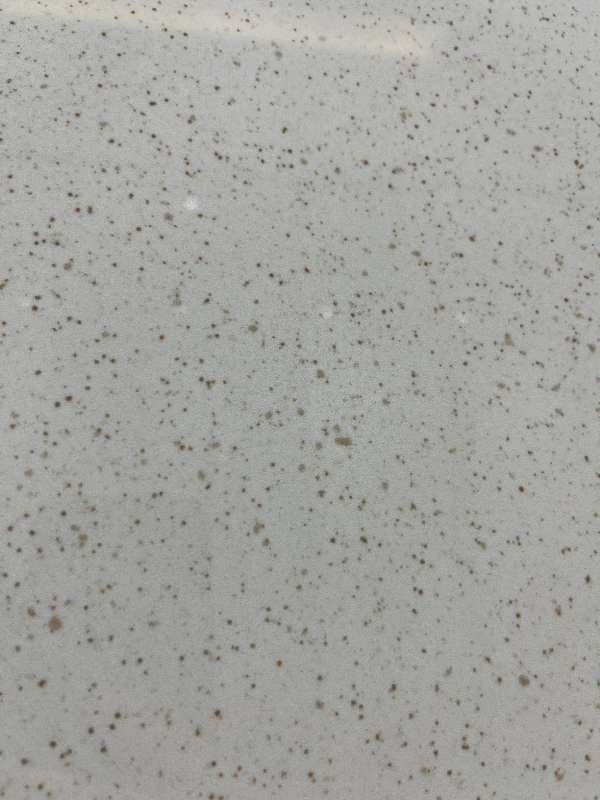 BNL9189926L MAGIC TERRAZZO BEIGE-2