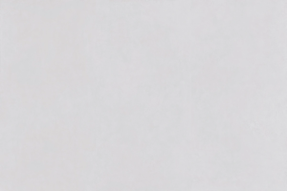 BNL9189Y02-韵·灯草一石三面