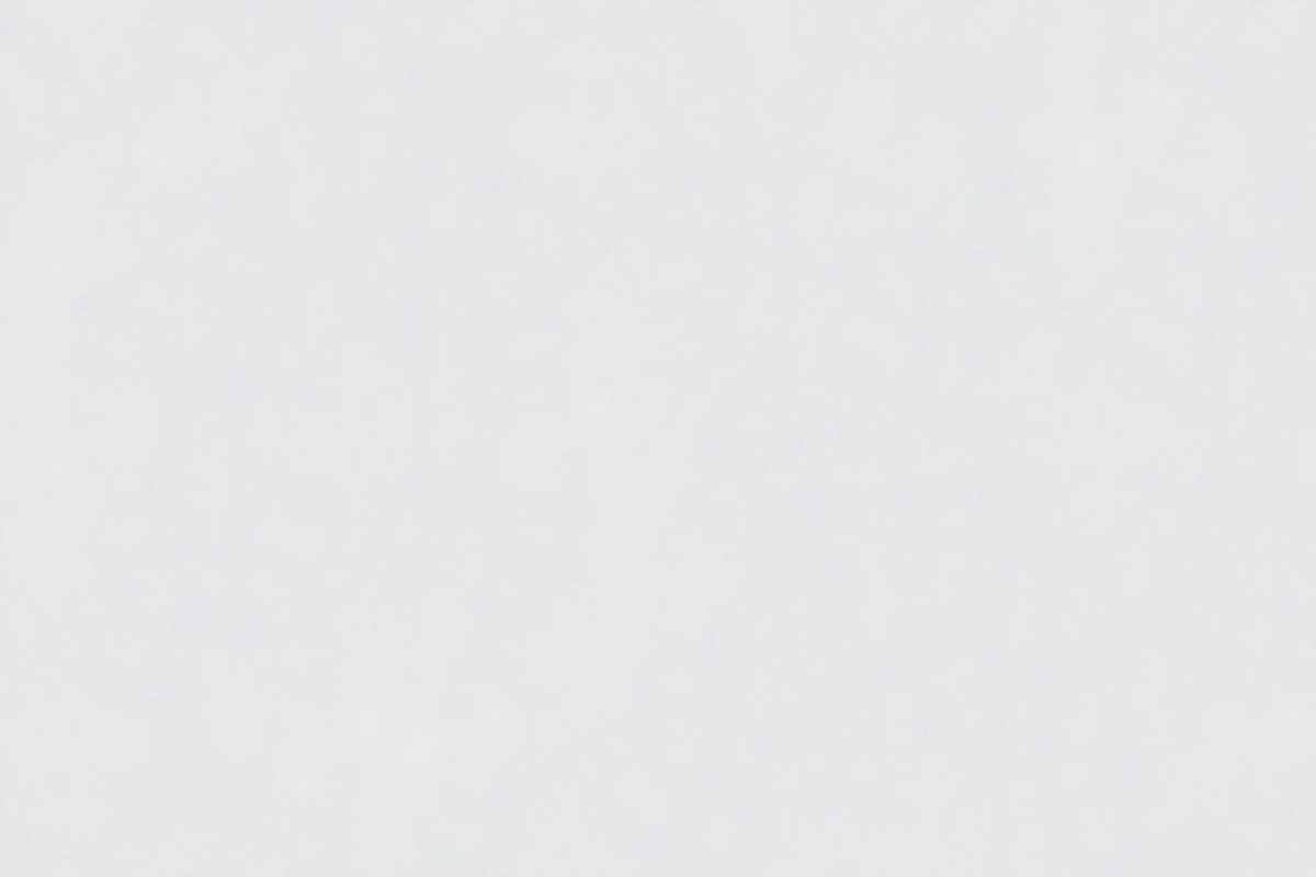 BNL9189Y19简·月白 (1)