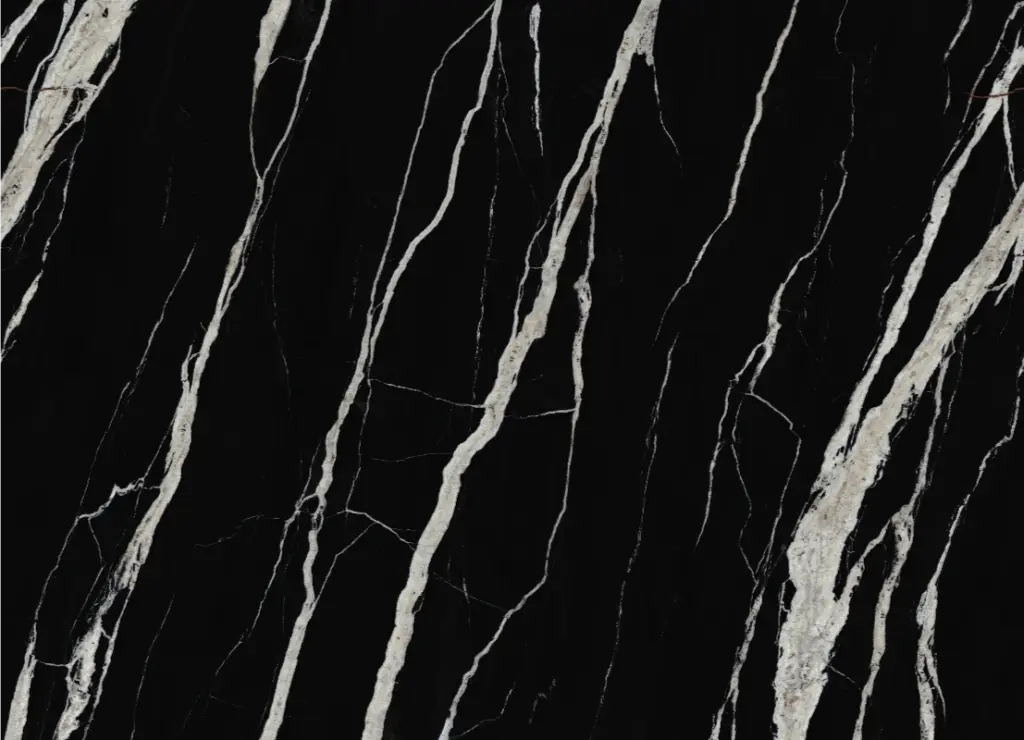 926406Y NEGRO FÓSIL
