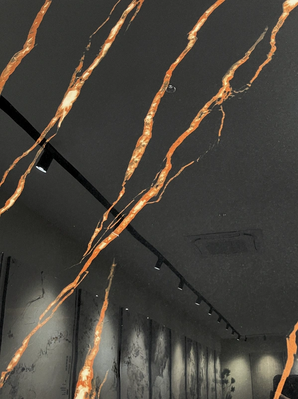 DQS12712L30S 莎罗兰