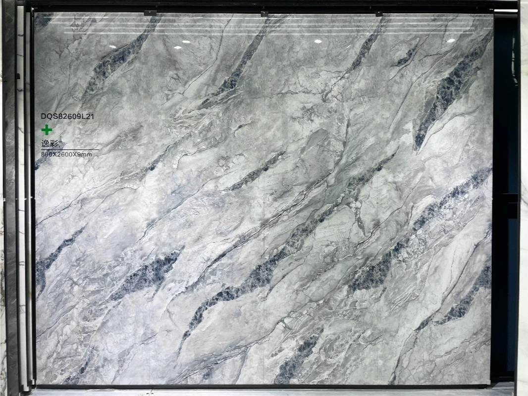 dqs82609l21 yicai