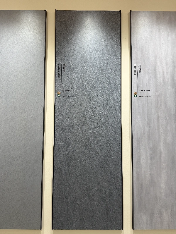 DQS82609Y72 CAESAR ASH