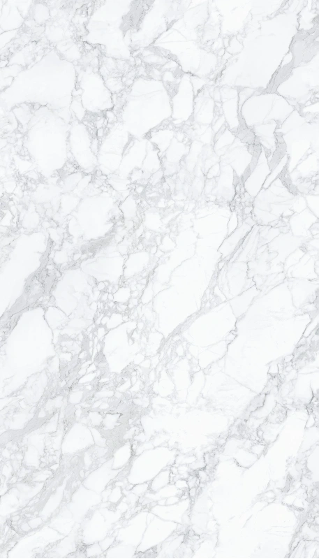 H18322CR208G NET-PATTERNED LARGE WHITE FLOWER