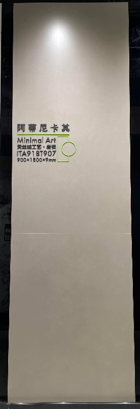 ITA918T907阿蒂尼卡其（1）