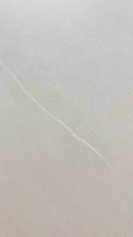 ITA918T914伯爵杏 (3)