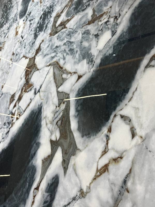 BNL1227302L 大象黑