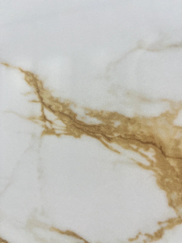 918911L ITALIAN GOLDENROD WHITE-1