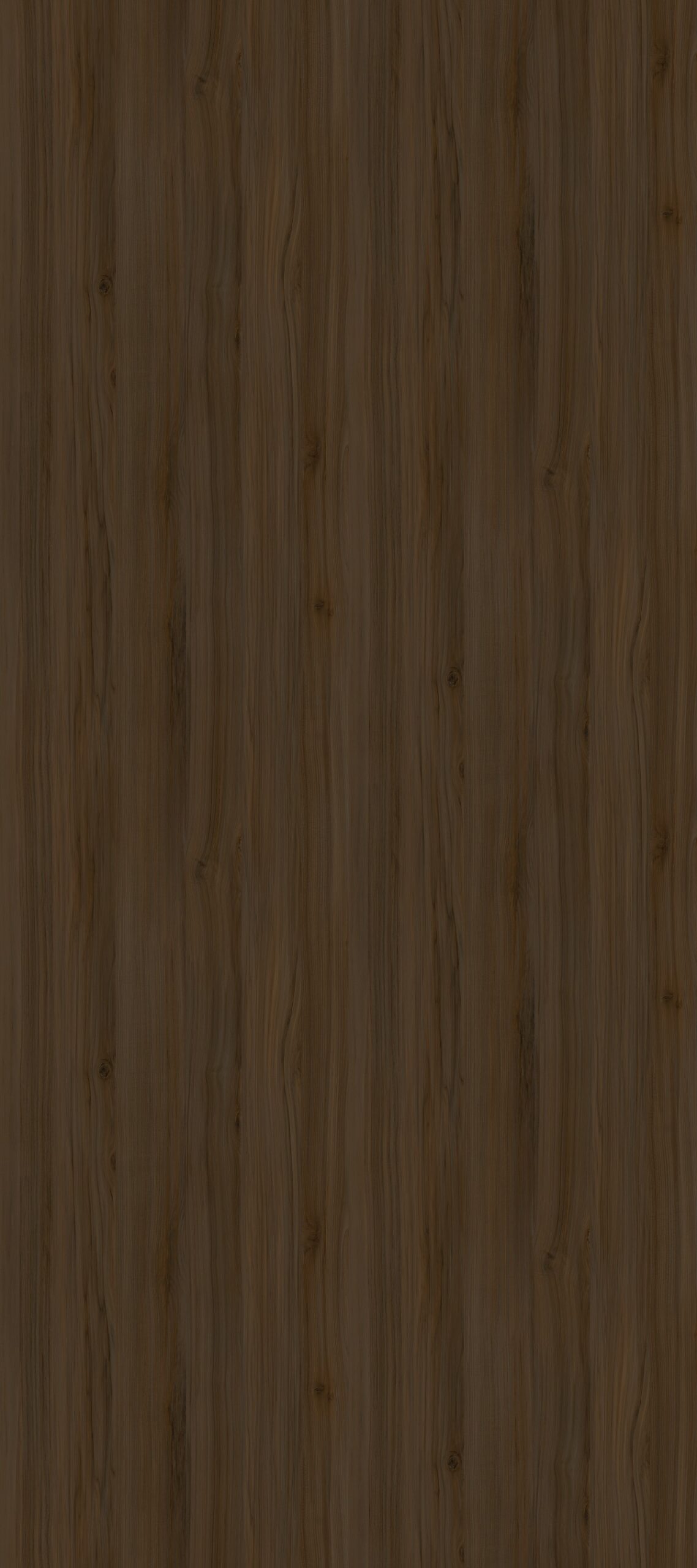 BIGCC1279M012YJ Muli - Elm Coffee