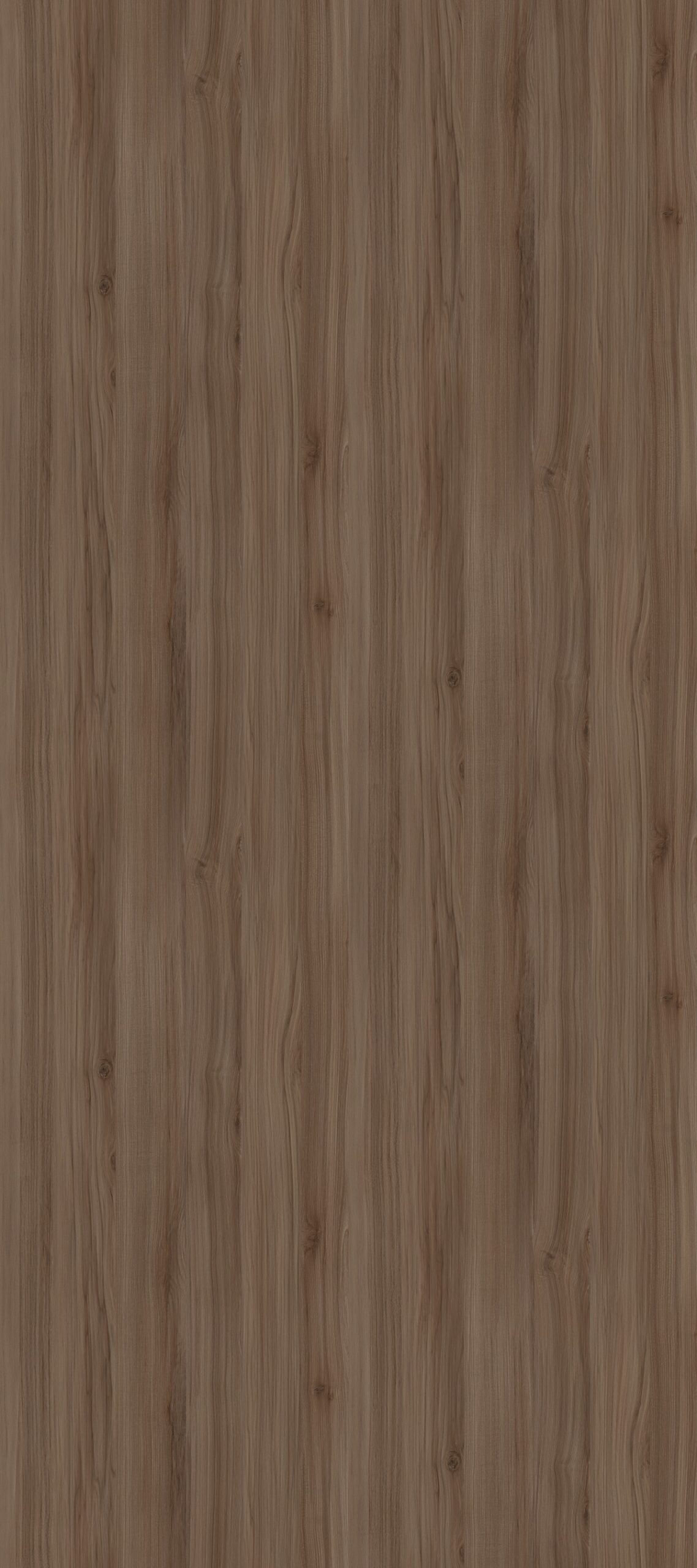 BIGCC1279M015YJ Muli - 榆木棕