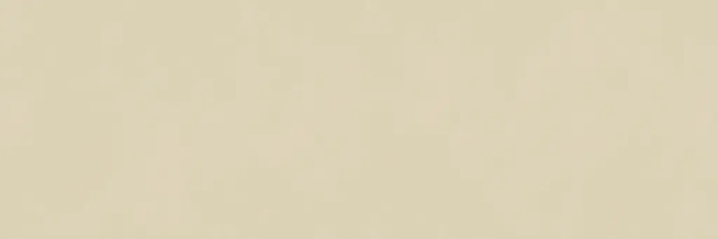 ITA918T904 ATINI RICE APRICOTS