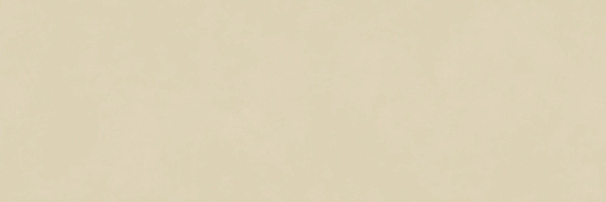 ITA918T904 ATINI RICE APRICOTS